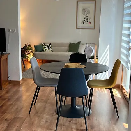 Le Gingko Zen Apartment Epinal